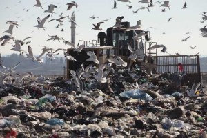 Giacomo Gabrielli Ag.Toiati Discarica di Malagrotta.